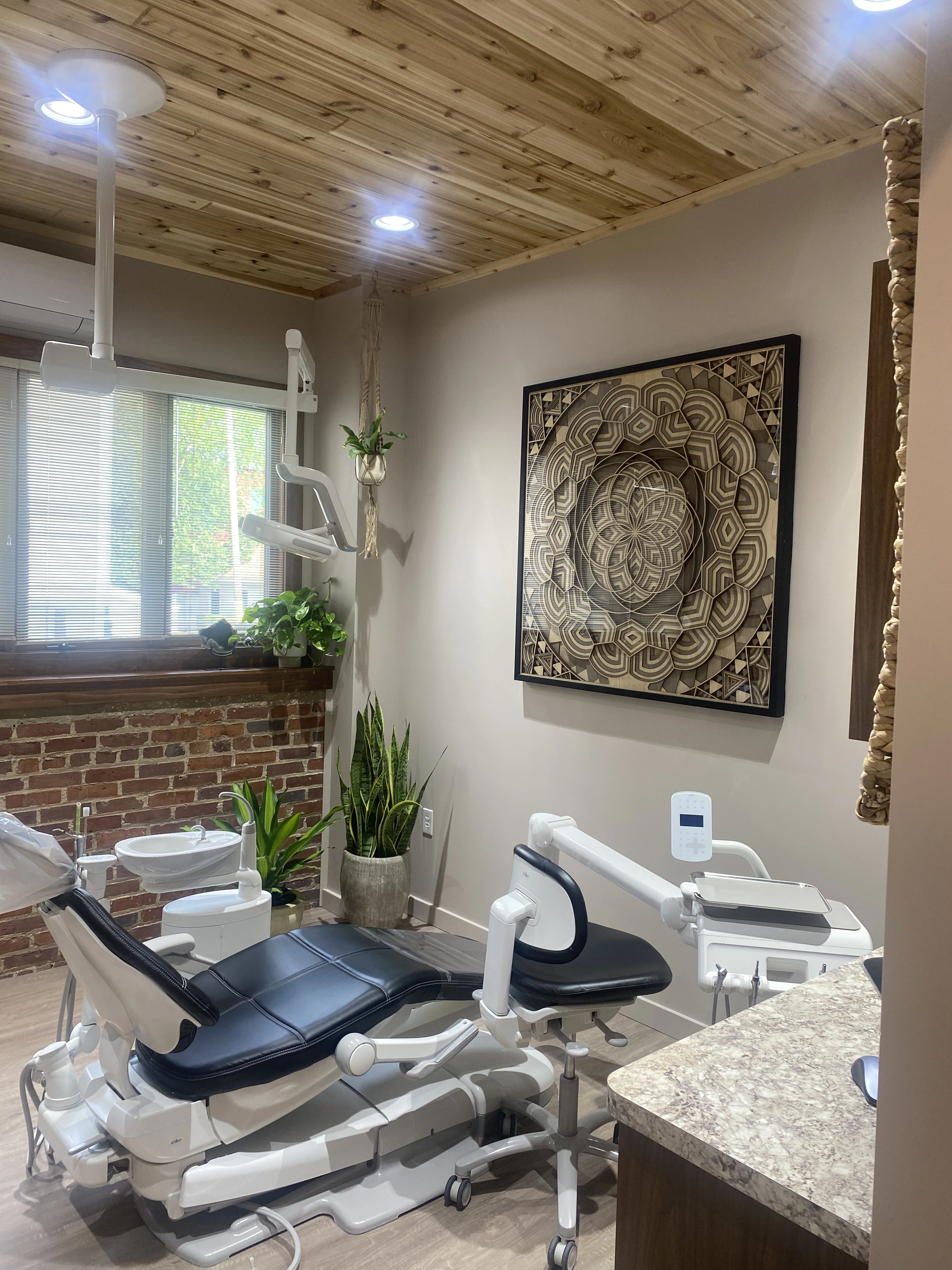 Professional Ceiling Installation